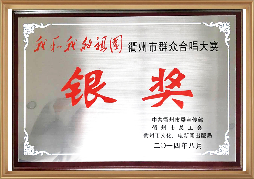 我和我的祖國衢州市群眾合唱大賽銀獎_d.jpg